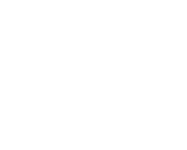Network Control Icon